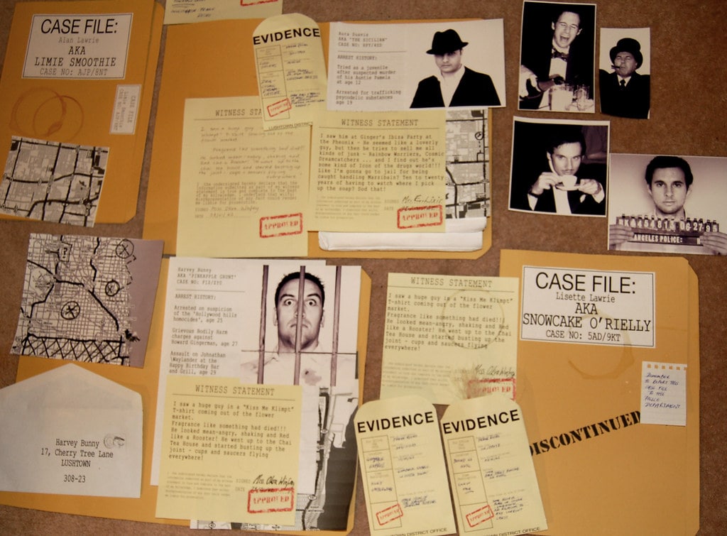 Details of the Case